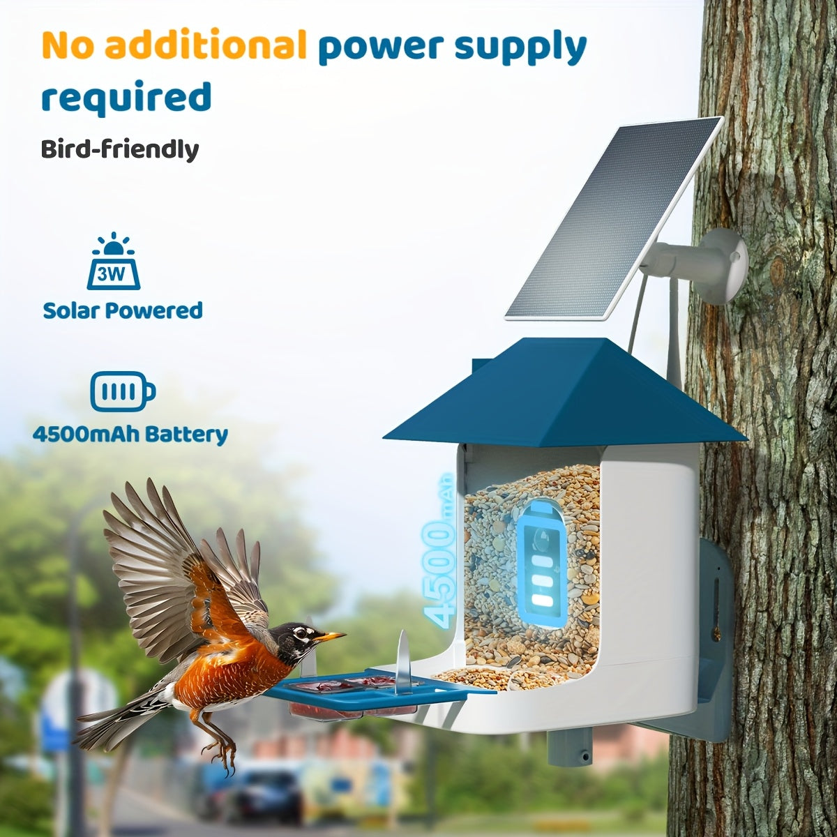 Smart Solar Powered Bird Feeder Camera 2K HD Video AI Bird Identification 11000 Species Real Time View Alerts 3W Solar Panel Outdoor Garden Bird Watching
