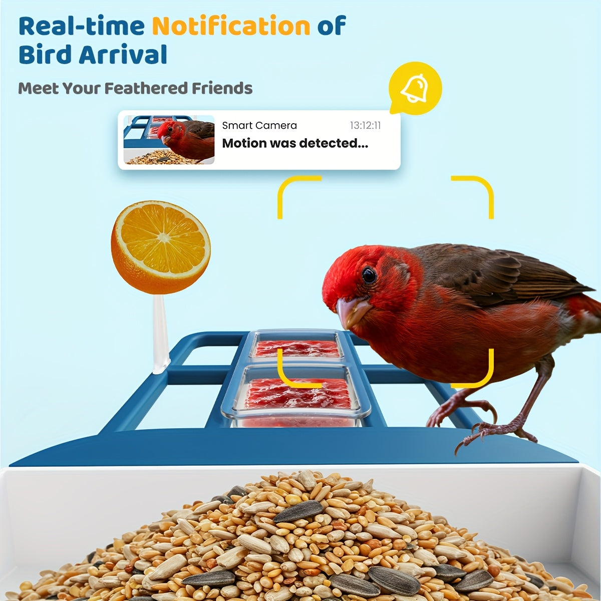 Smart Solar Powered Bird Feeder Camera 2K HD Video AI Bird Identification 11000 Species Real Time View Alerts 3W Solar Panel Outdoor Garden Bird Watching