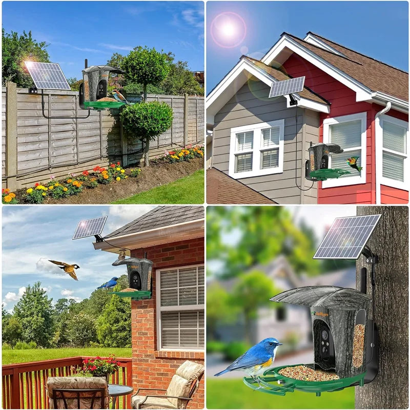 Smart Bird Feeder Camera with 64G Card for Wild Watching
