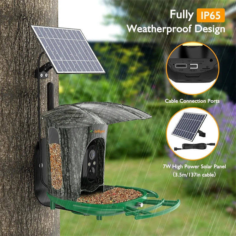 Smart Bird Feeder Camera with 64G Card for Wild Watching