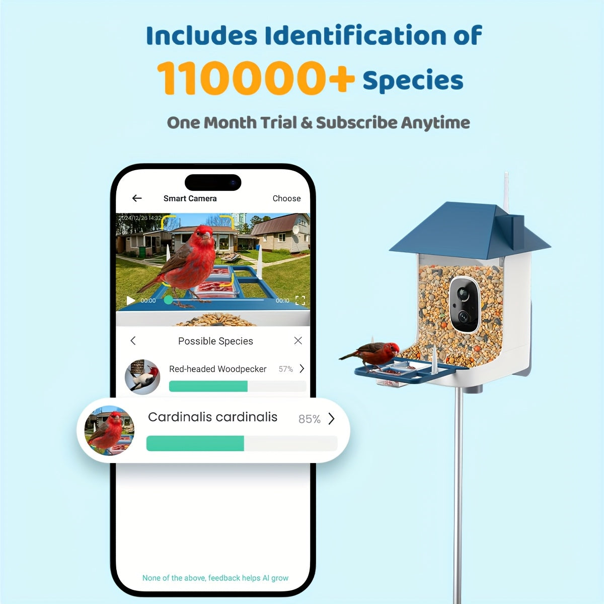 Smart Solar Powered Bird Feeder Camera 2K HD Video AI Bird Identification 11000 Species Real Time View Alerts 3W Solar Panel Outdoor Garden Bird Watching