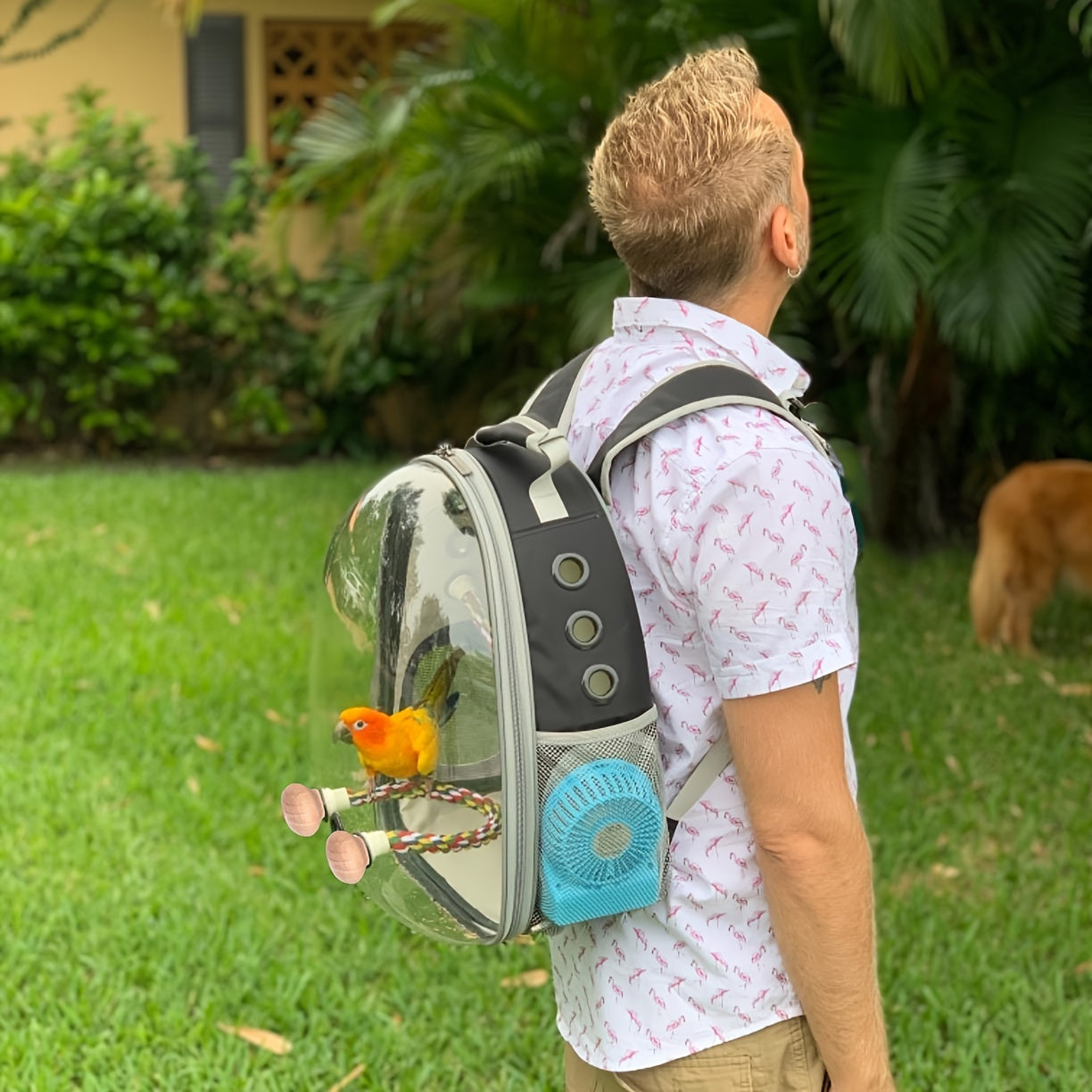 Bird Travel Carrier Backpack for Parakeets Budgies Cockatiels and Conures Zipper Closure Green Polyester