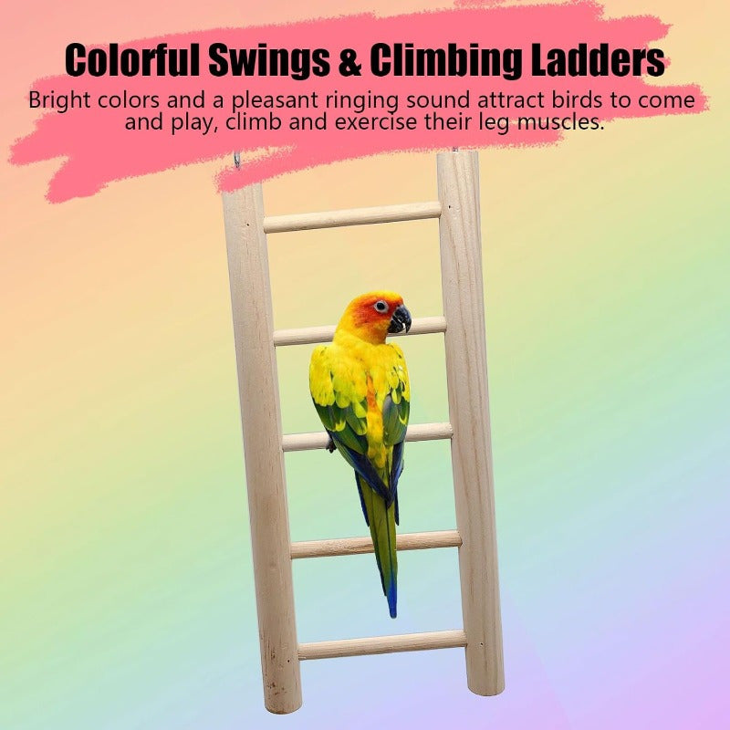 Multi Level Parrot Playground with Climbing Ladder Swing and Food Cups Heavy Duty Stainless Steel Bird Perch Platform Space Saving Cage Gym for Budgies Cockatiels Lovebirds and Finches Easy Clean Aviary Enrichment for Indoor Use