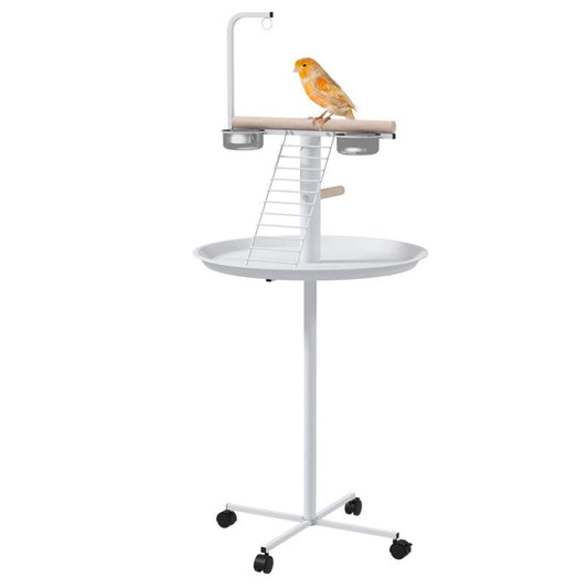 Bird Stand with Feeding Cups and Ladder for Parrots