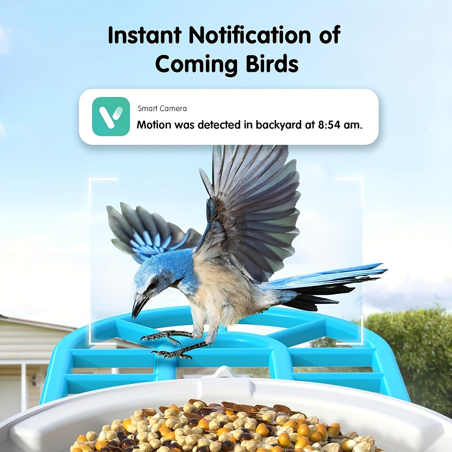 Solar Bird Feeder with Camera, 1080P HD Outdoor Watching