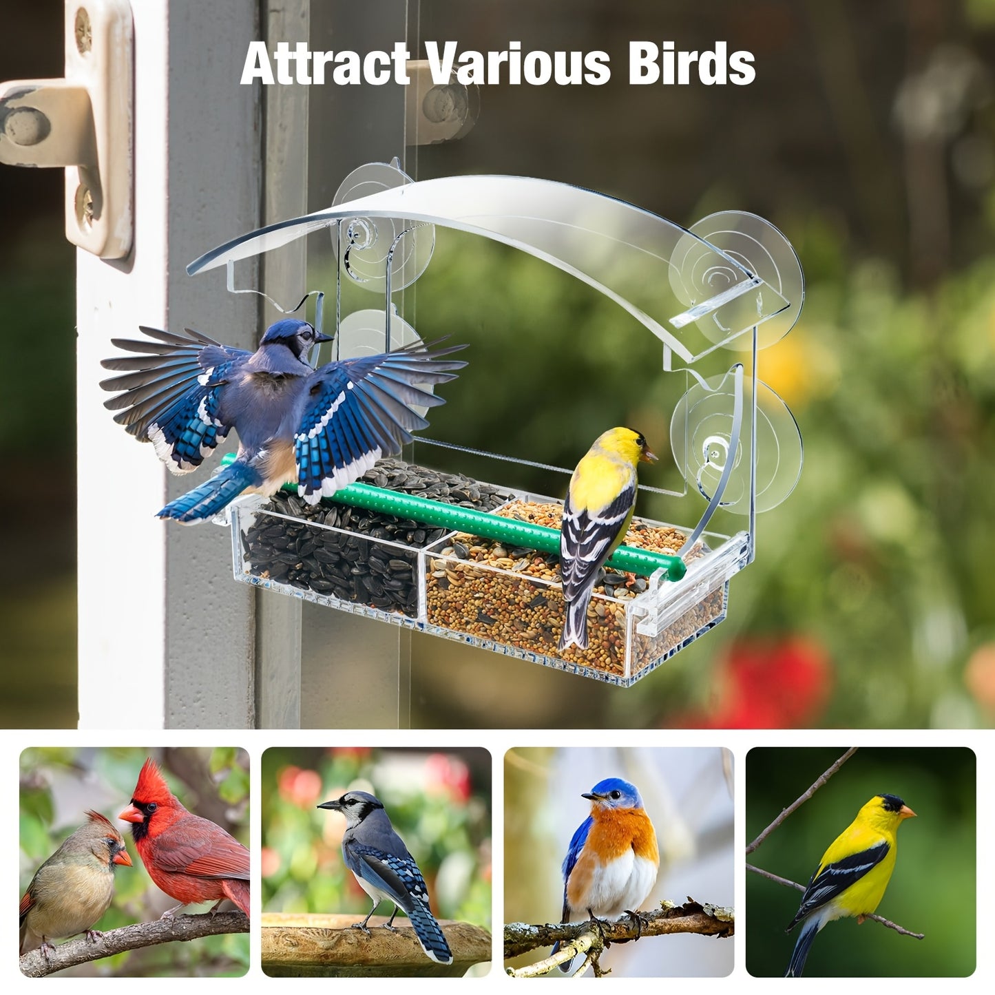 Kingsyard Window Mount Acrylic Bird Feeder For Cardinals