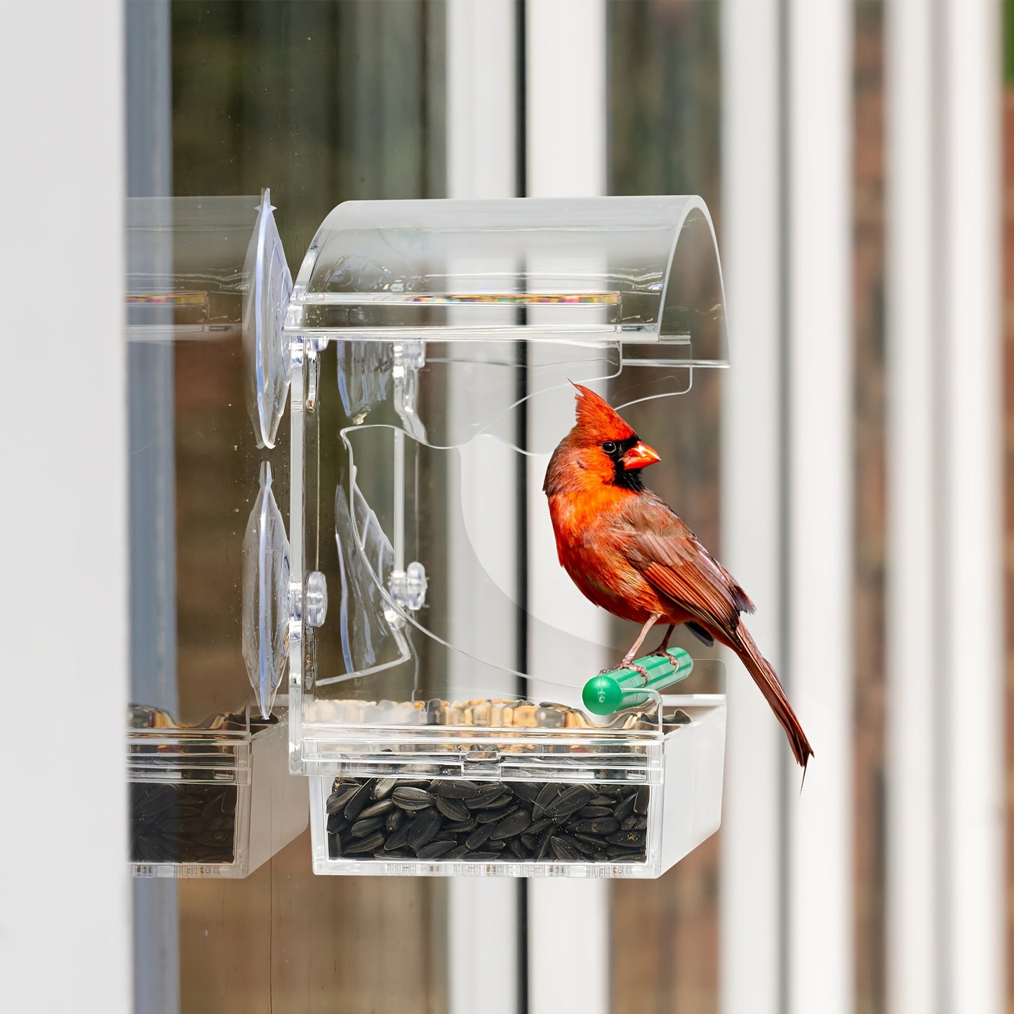 Kingsyard Window Mount Acrylic Bird Feeder For Cardinals