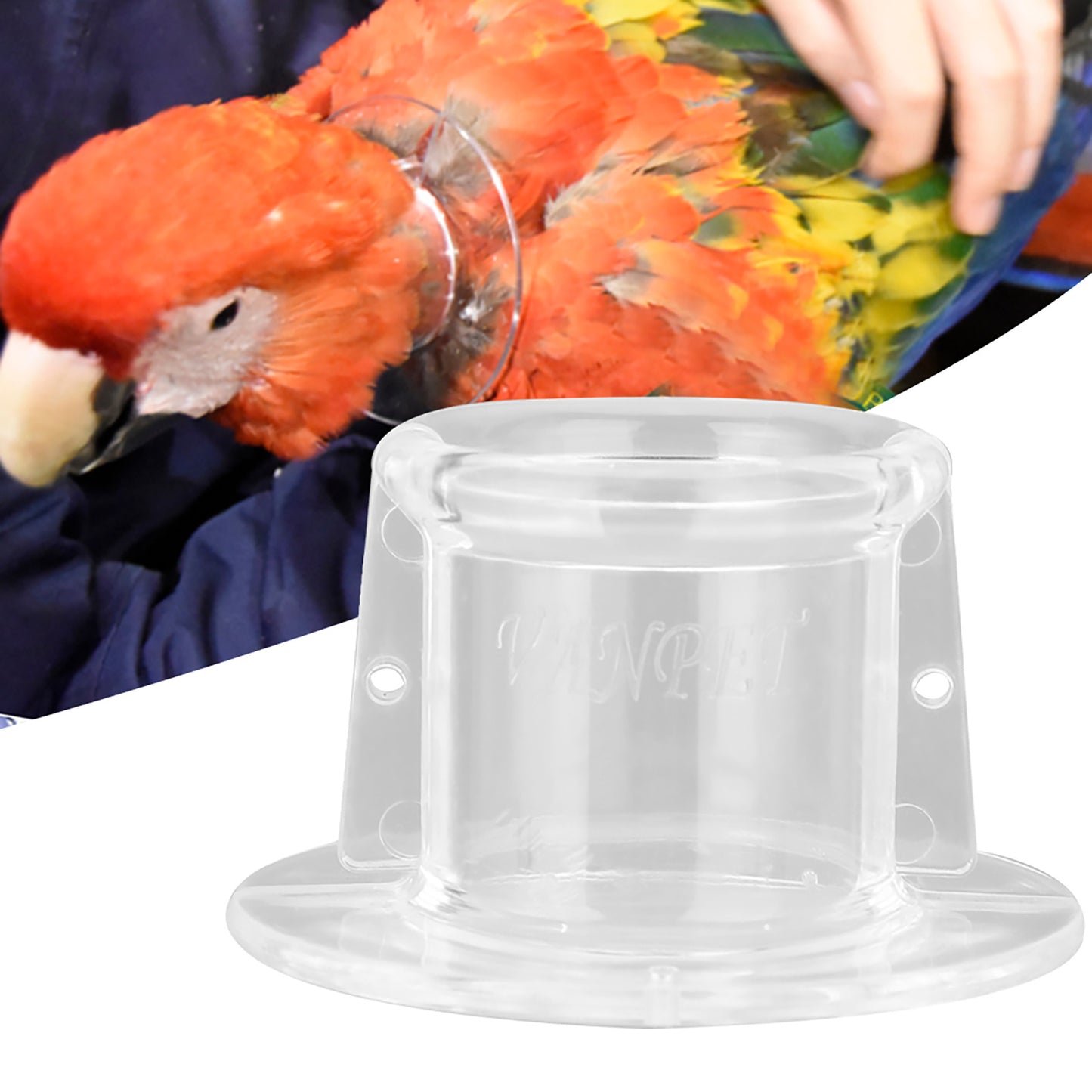 Pet Parrot Anti Bite Picking Feather Wound Healing Collar