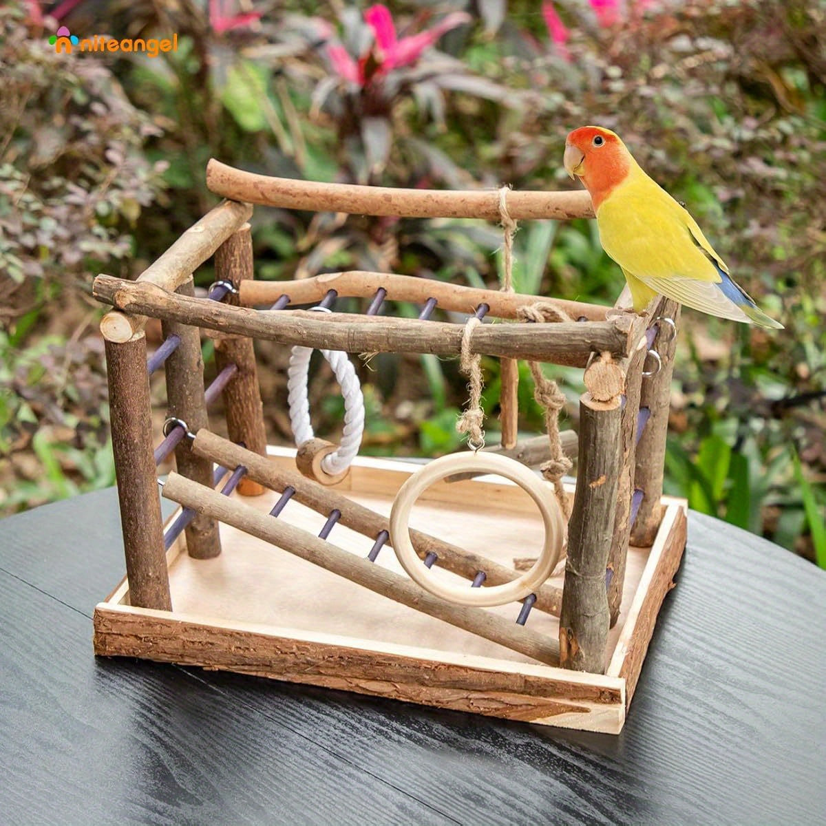 Natural Habitat Bird Playground With Engaging Center