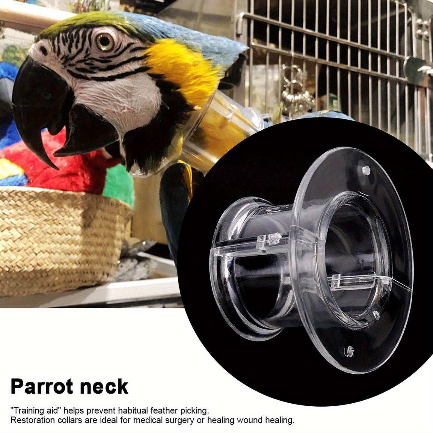 Pet Parrot Anti Bite Picking Feather Wound Healing Collar