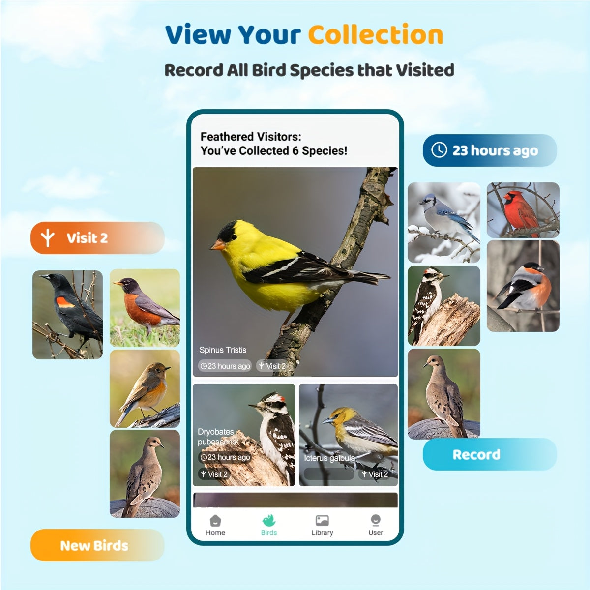 Smart Solar Powered Bird Feeder Camera 2K HD Video AI Bird Identification 11000 Species Real Time View Alerts 3W Solar Panel Outdoor Garden Bird Watching