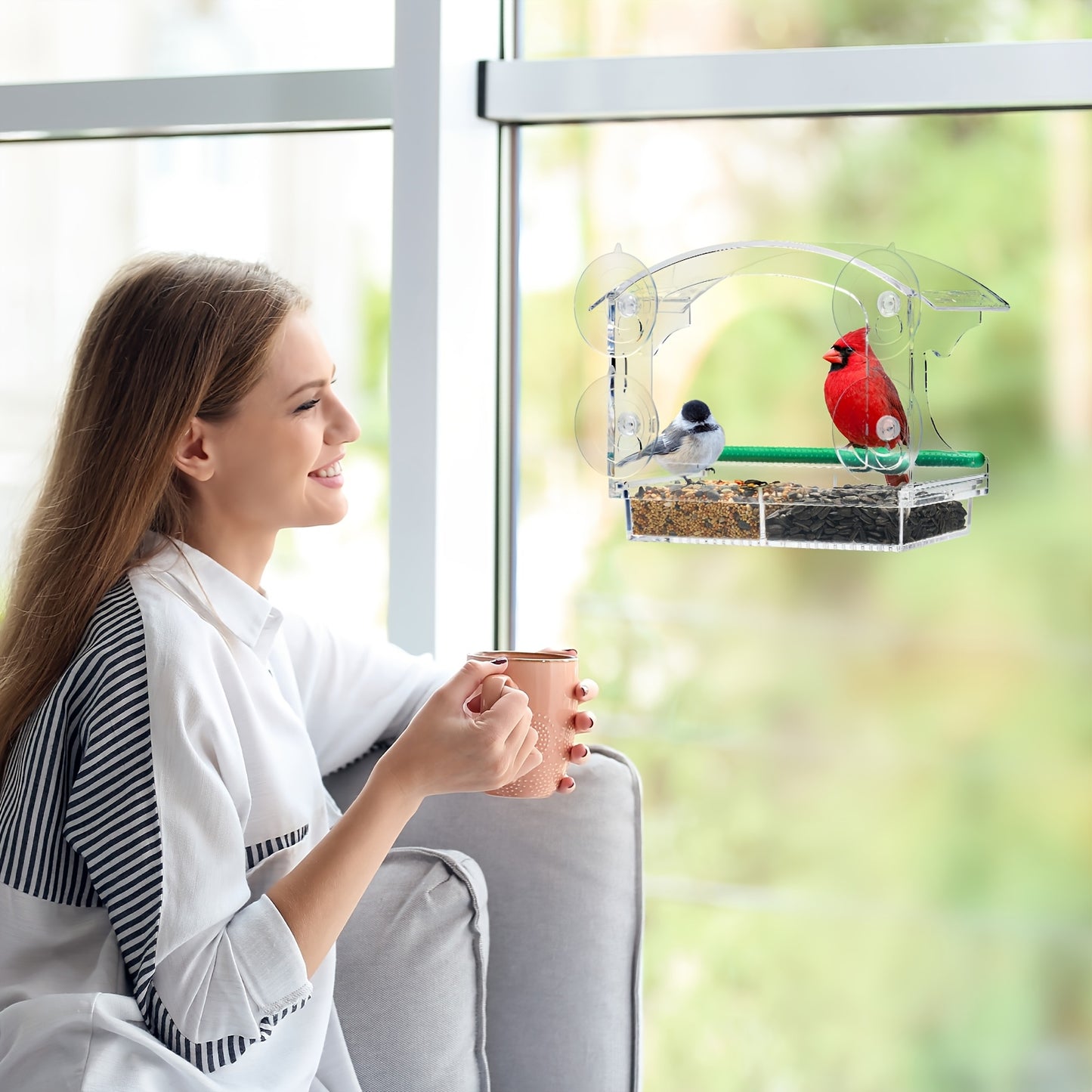 Kingsyard Window Mount Acrylic Bird Feeder For Cardinals