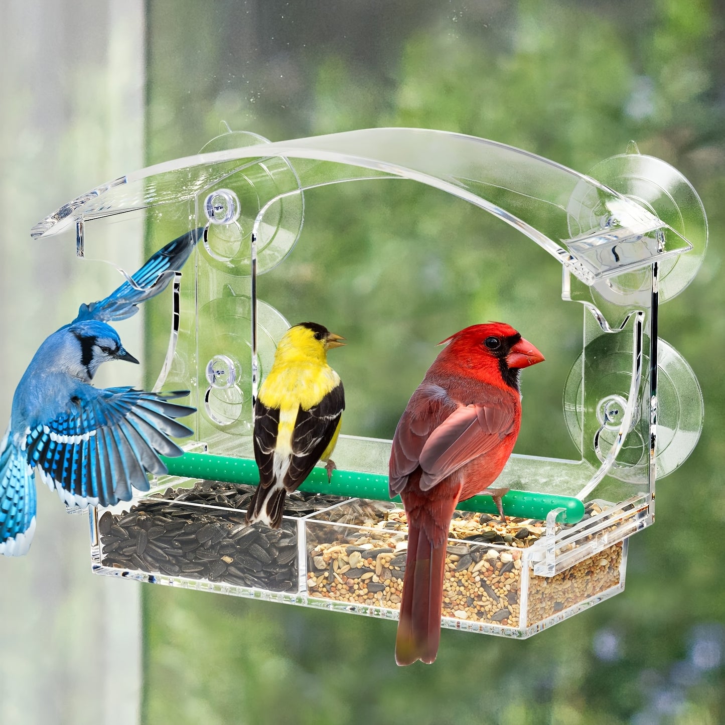 Kingsyard Window Mount Acrylic Bird Feeder For Cardinals