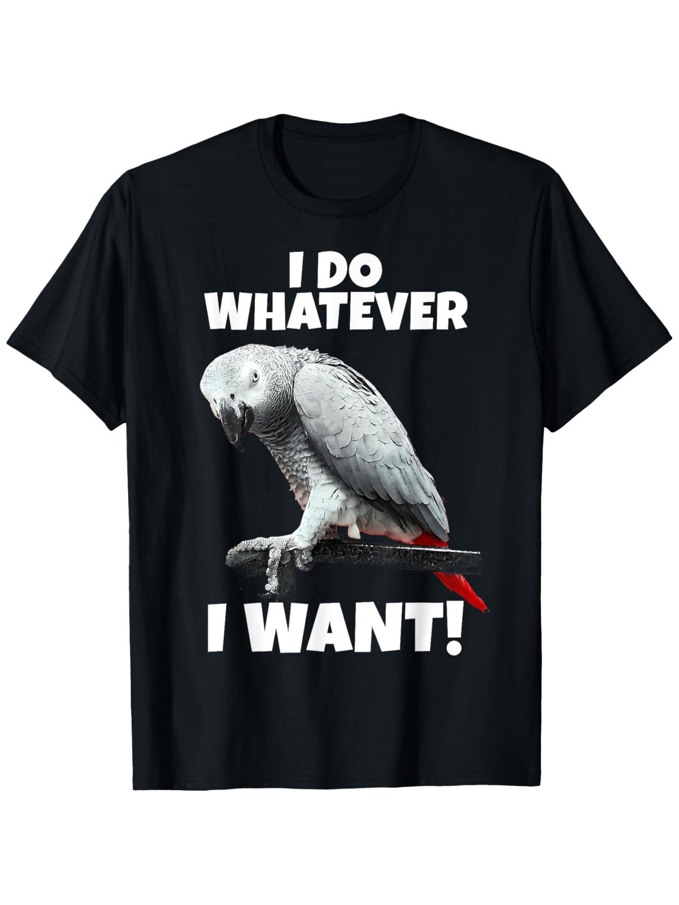 African Grey Parrot Graphic T-Shirt - 100% Cotton, Black