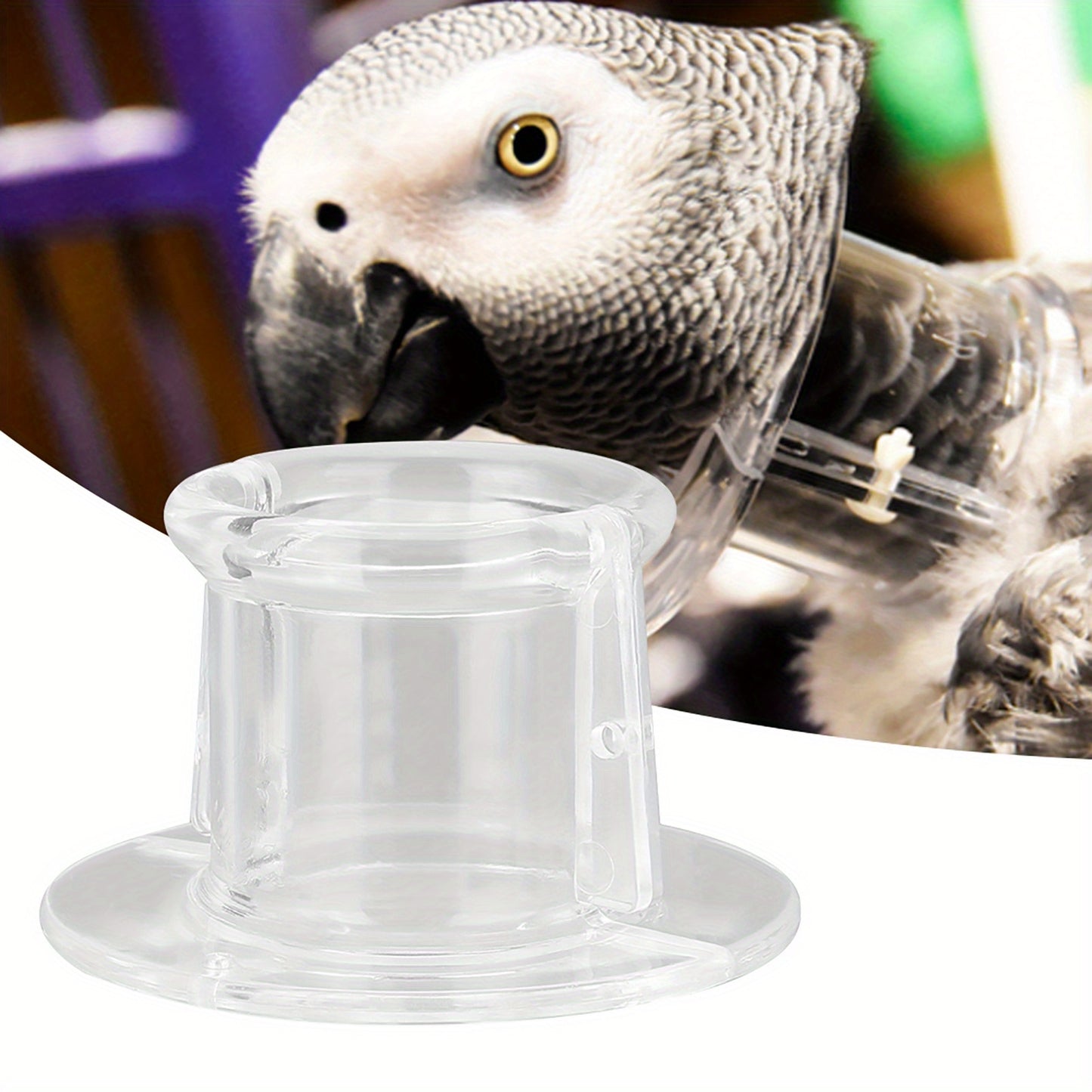 Pet Parrot Anti Bite Picking Feather Wound Healing Collar