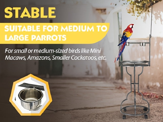 Iron Bird Stand With Toy Hook Parrot Perch Heavyduty