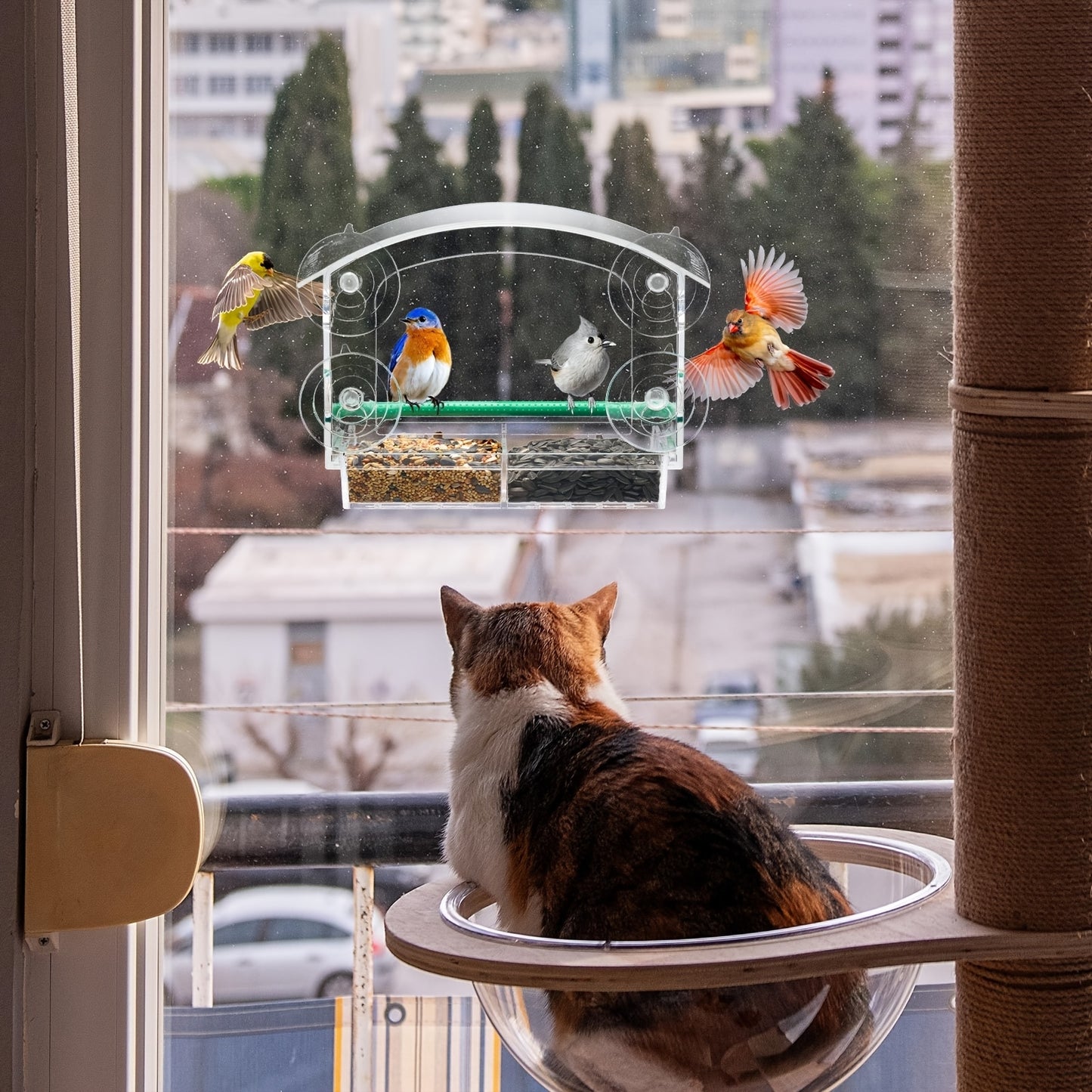 Kingsyard Window Mount Acrylic Bird Feeder For Cardinals