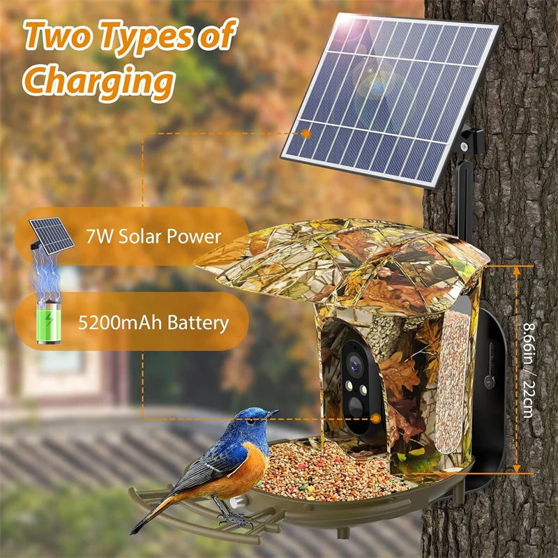 Smart Bird Feeder Camera Solar Powered Wireless 1080P HD