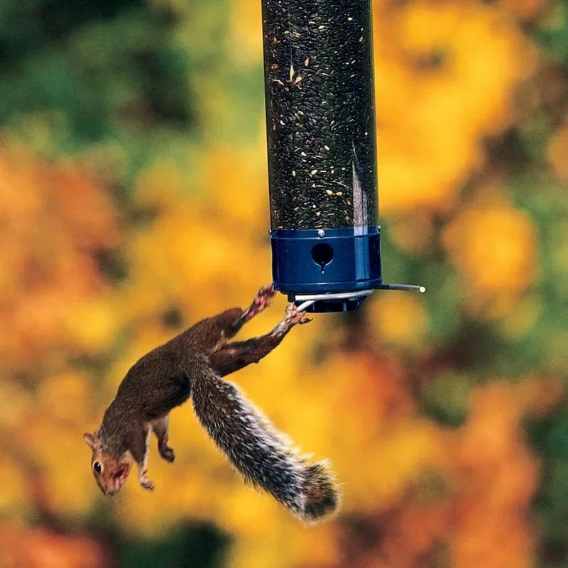 Droll Yankees Whipper Squirrel-Proof Bird Feeder Blue