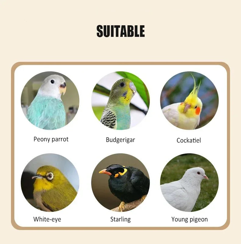 Large Bird Cage Breathable Breeding Parrot Cage Strong Standing Flying Many Birdcage with Bottom Tray Pigeon Cage Bird House Nest