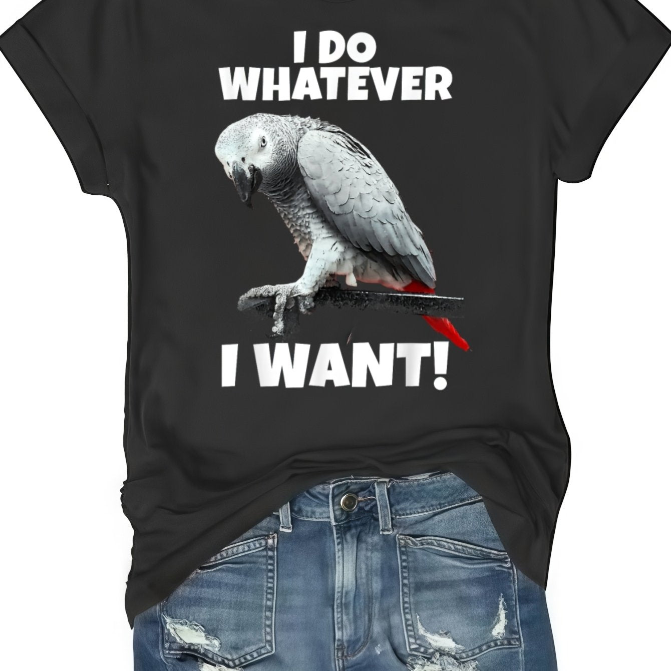 African Grey Parrot Graphic T-Shirt - 100% Cotton, Black