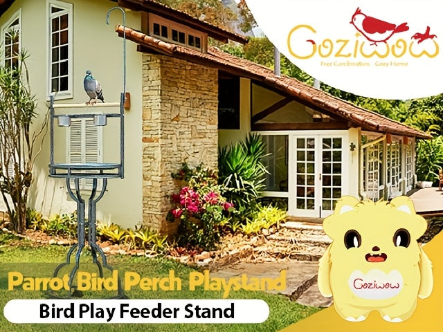 Iron Bird Stand With Toy Hook Parrot Perch Heavyduty